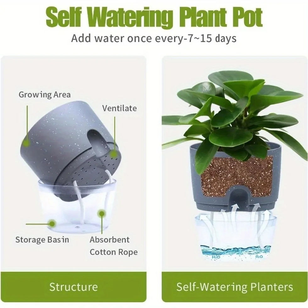 Thumbnail: Self-Watering Double Layer Plant Pot