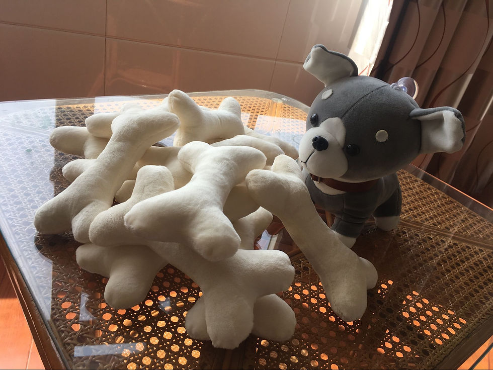 Thumbnail: Plush Bone Dog Toy