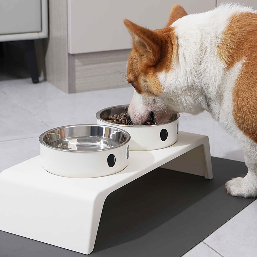 Thumbnail: Elevated Pet Dog Feeder Bowls Raised Stand with Double Stainless Steel