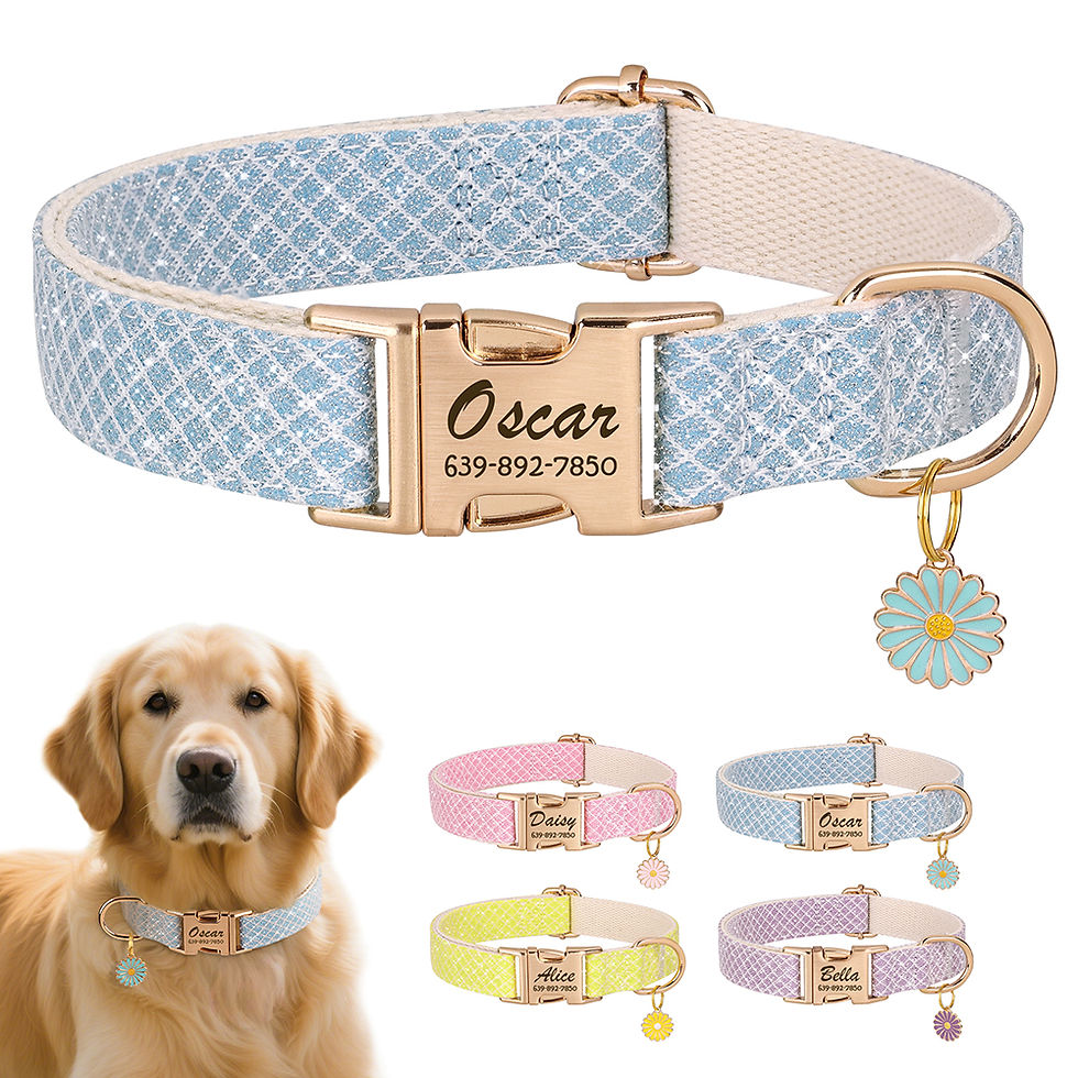 Thumbnail: Personalised Bling Nylon Dog Collar with Free Engraved ID