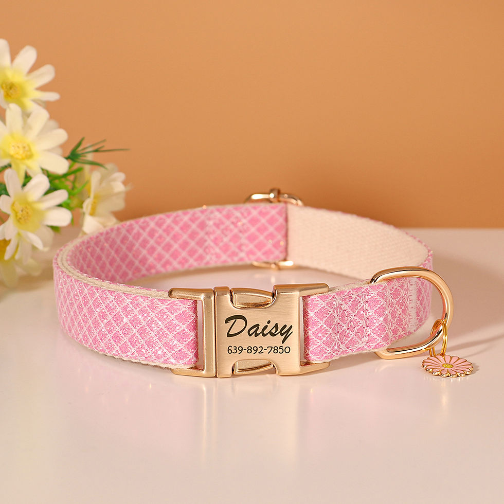 Thumbnail: Personalised Bling Nylon Dog Collar with Free Engraved ID