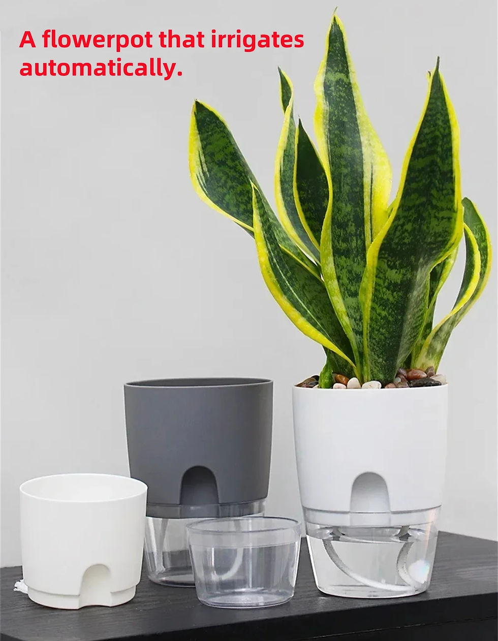 Thumbnail: Self-Watering Double Layer Hydroponic Plant Pot