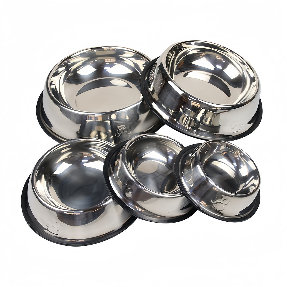 Thumbnail: Stainless Steel Pet Feeding and Drinking Bowl