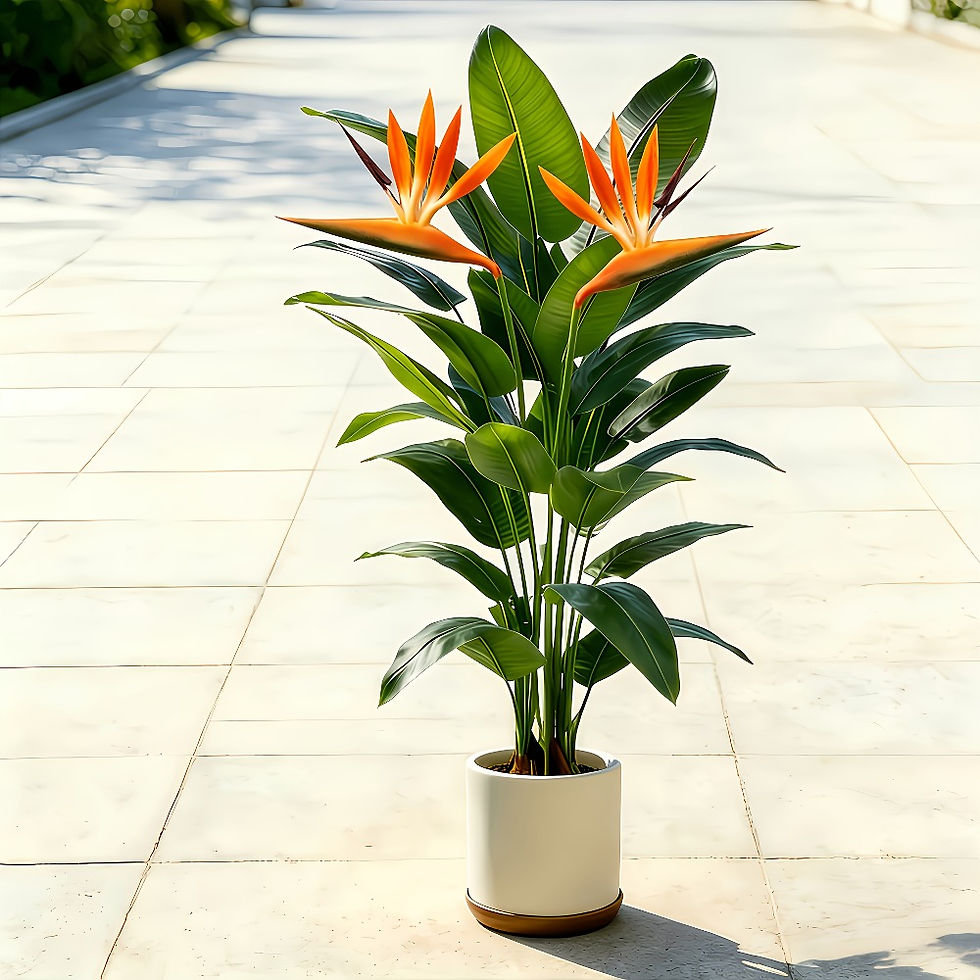 Thumbnail: 3-Piece Artificial Banana Tree and Birds of Paradise Set