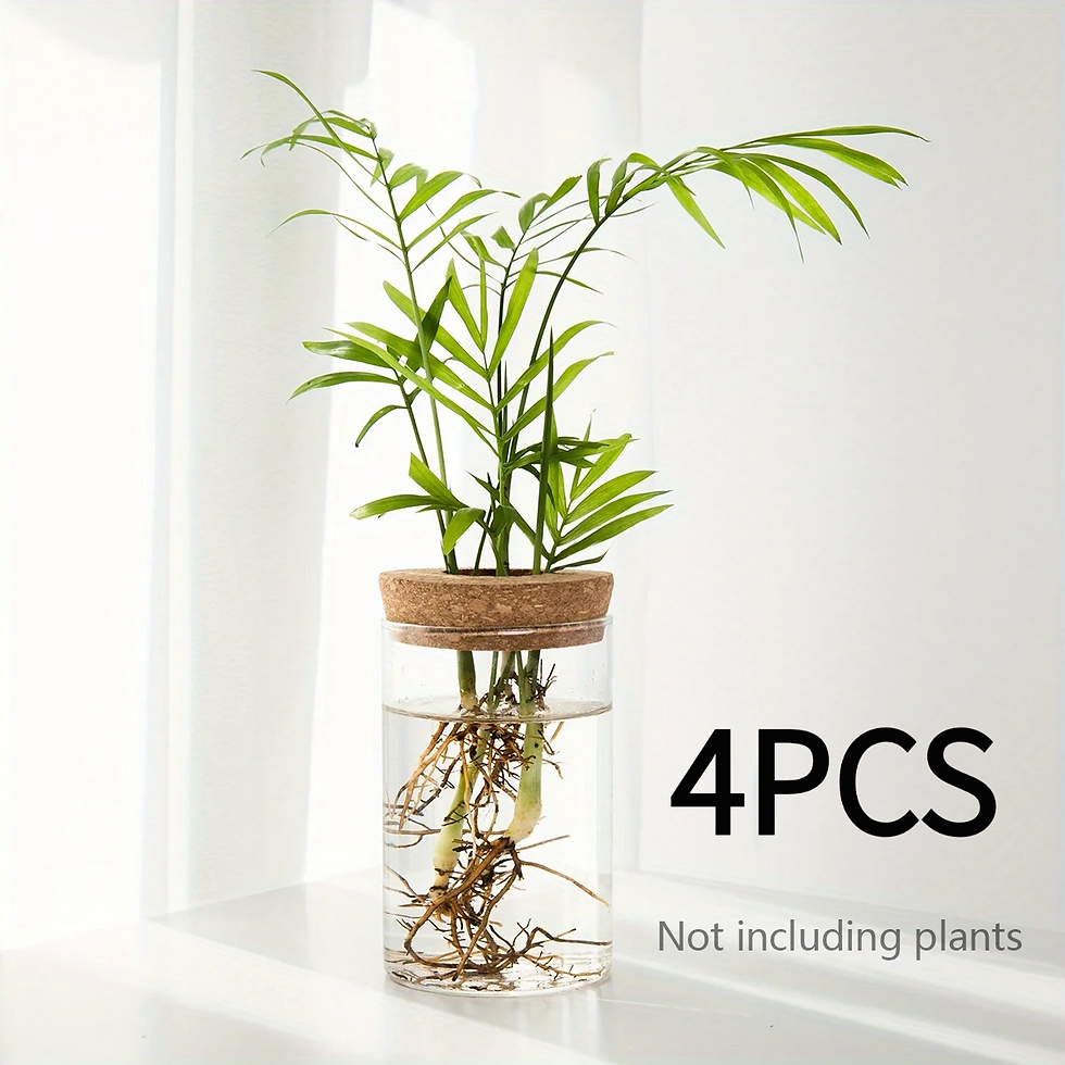 Thumbnail: Desktop Glass Hydroponic Plant Vase