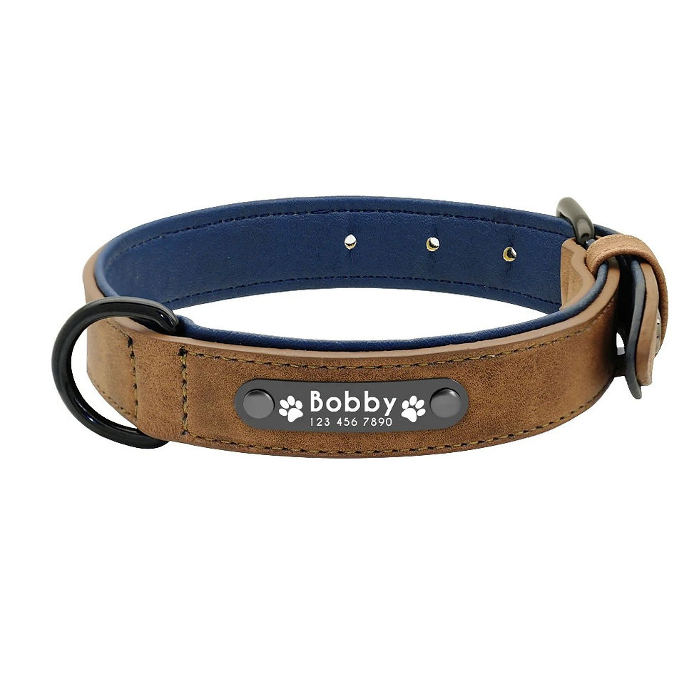 Thumbnail: Personalised Leather Dog Collar with Custom Name Tag