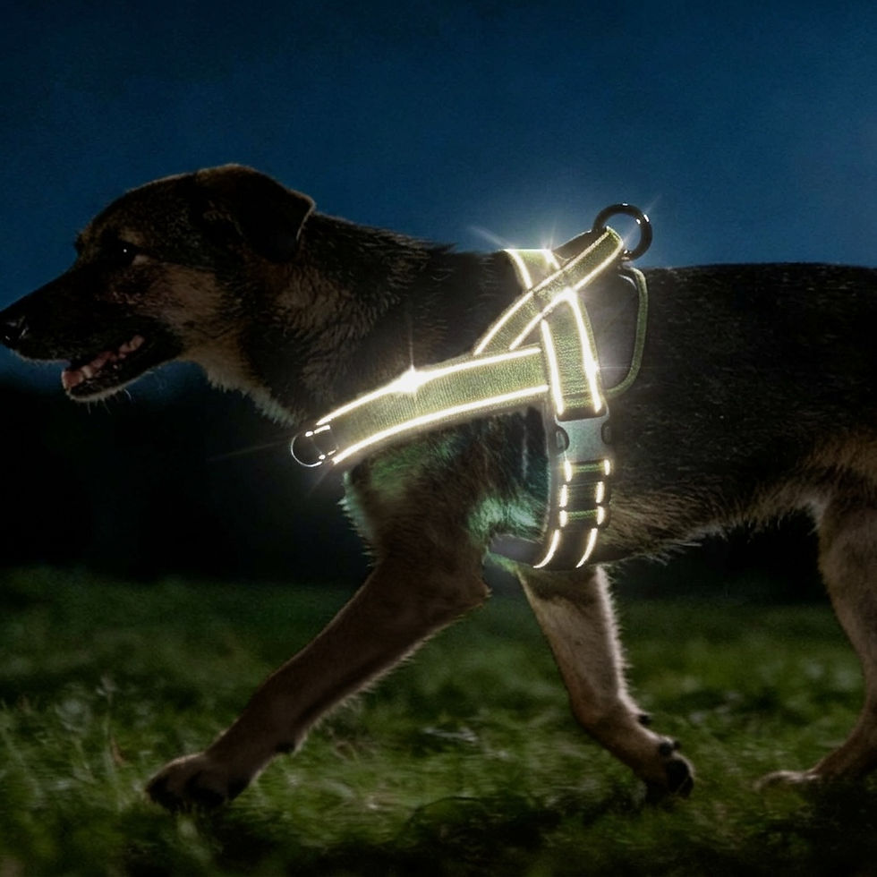 Thumbnail: Tactical No-Pull Large Breed Dog Harness Vest