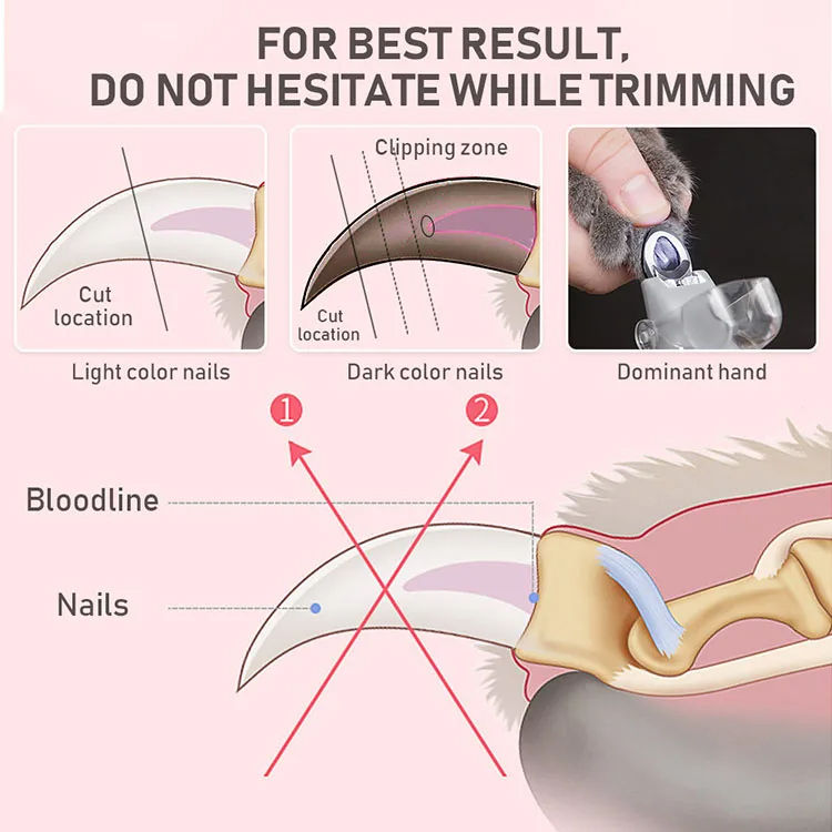 Thumbnail: LED Pet Nail Clipper Scissors with Light for Dogs and Cats