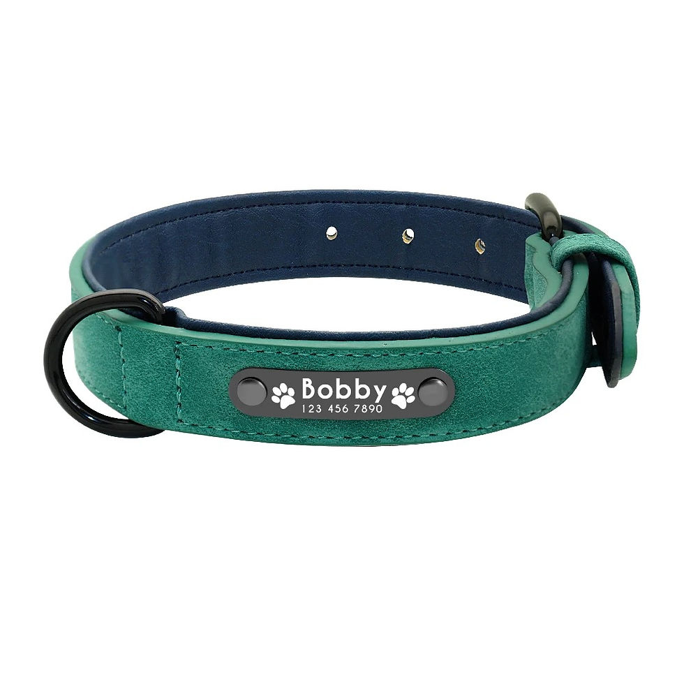 Thumbnail: Personalised Leather Dog Collar with Custom Name Tag