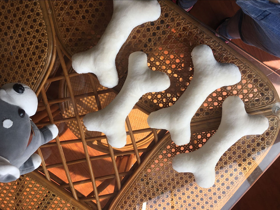 Thumbnail: Plush Bone Dog Toy