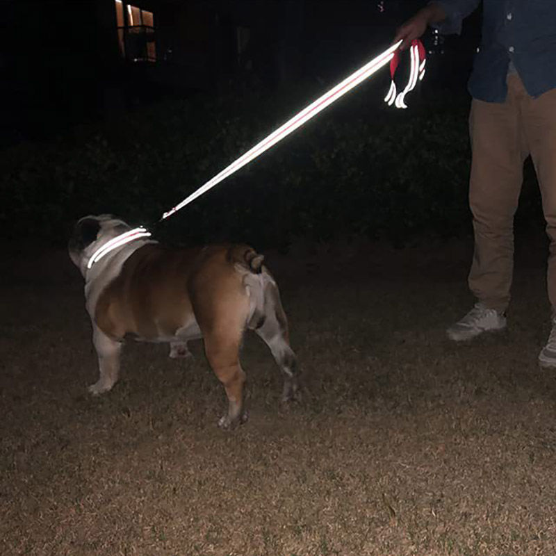 Thumbnail: Reflective Pet Towing Rope Harness and Lead