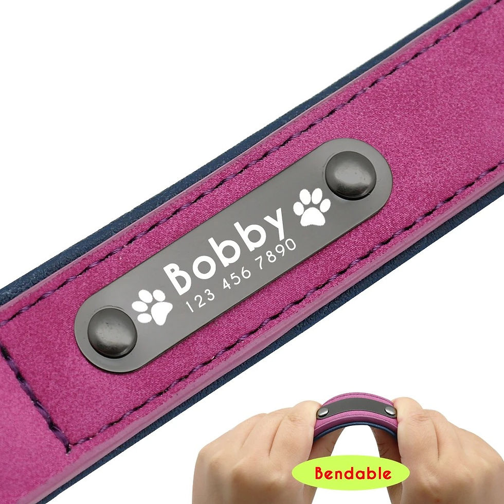 Thumbnail: Personalised Leather Dog Collar with Custom Name Tag