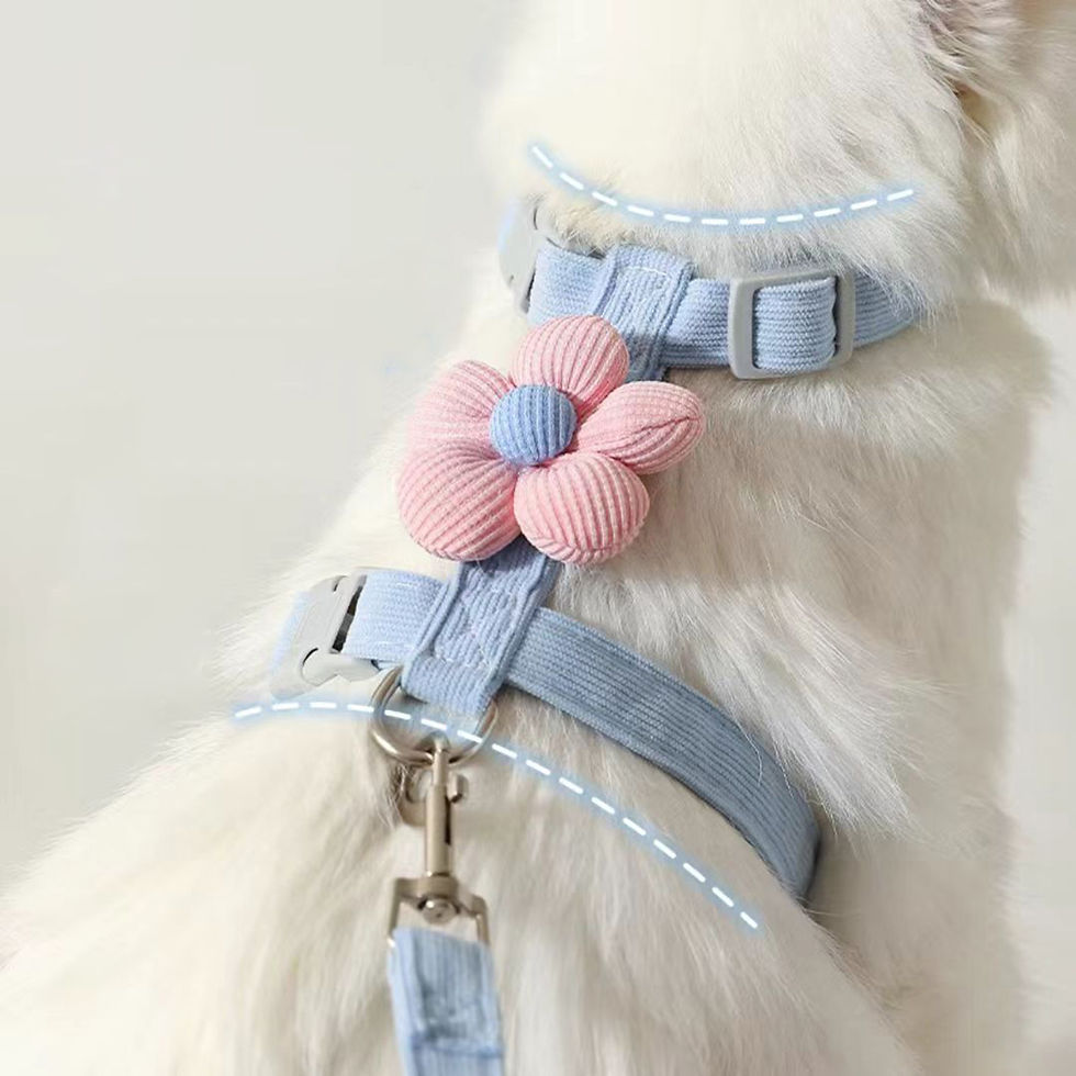 Thumbnail: Adjustable Breathable Cat Harness and Leash Set
