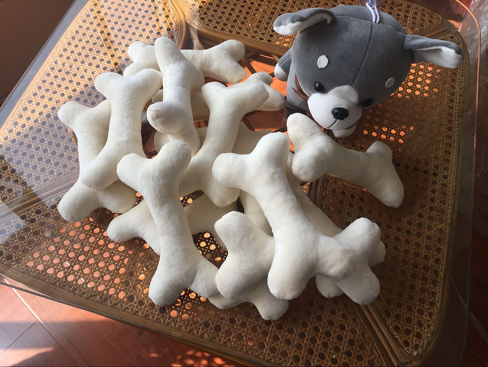 Thumbnail: Plush Bone Dog Toy
