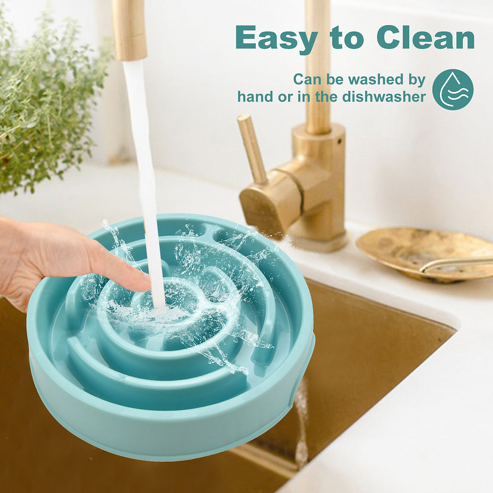 Thumbnail: Anti-Gulping Pet Slow Feeder Bowl