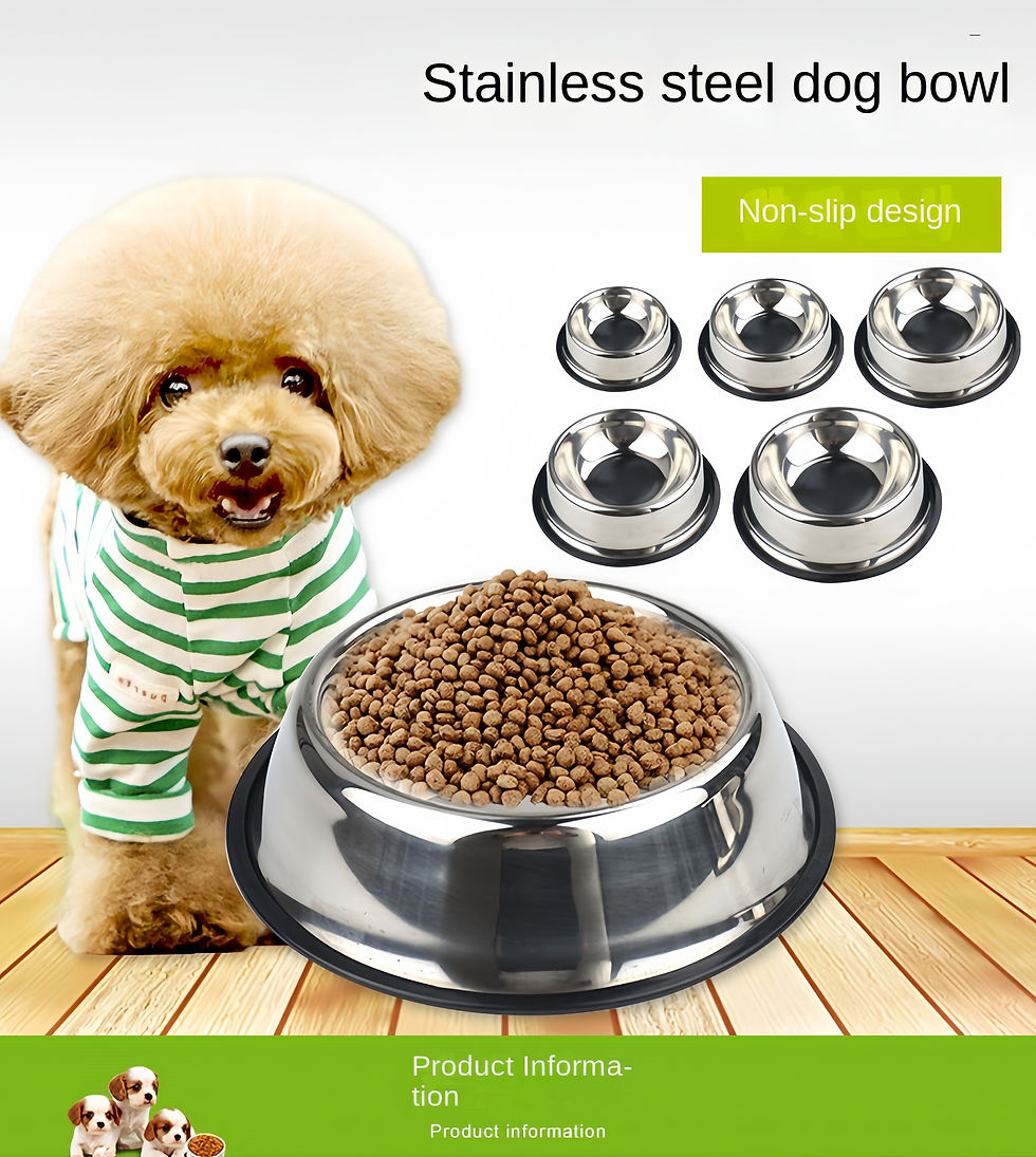 Thumbnail: Stainless Steel Pet Feeding and Drinking Bowl