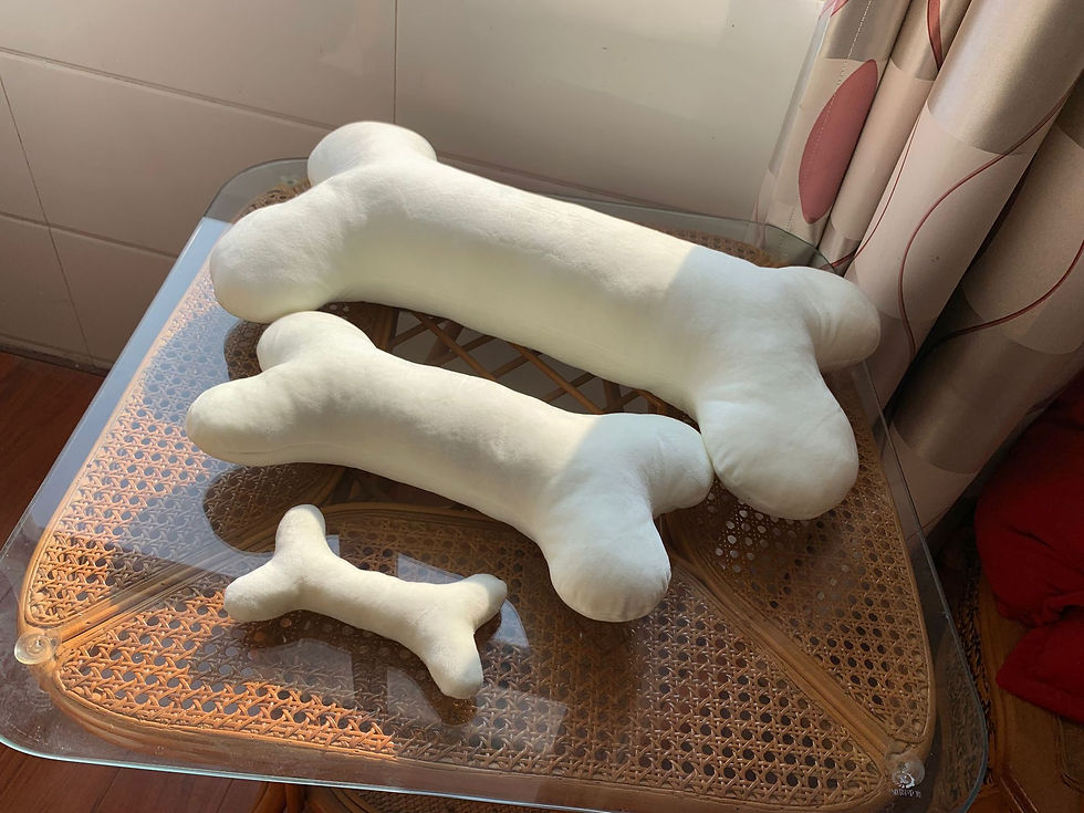 Thumbnail: Plush Bone Dog Toy