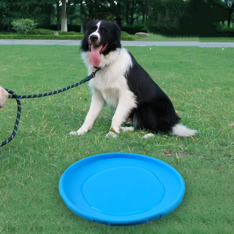 Thumbnail: Silicone Flying Disc Pet Toy
