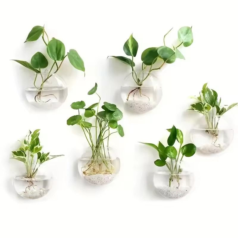 Thumbnail: Wall Hanging Glass Terrarium Hydroponic Planter