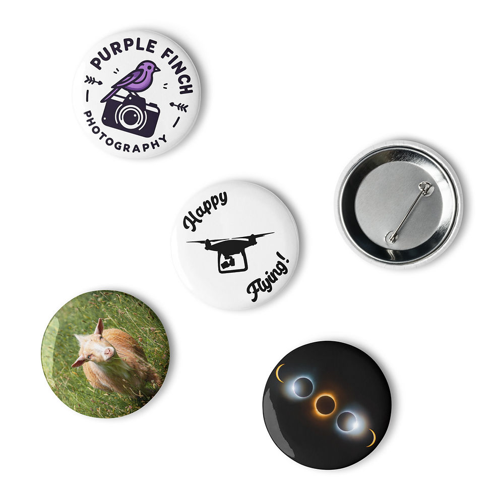 Thumbnail: Set of 5 pin buttons - Purple Finch Photography