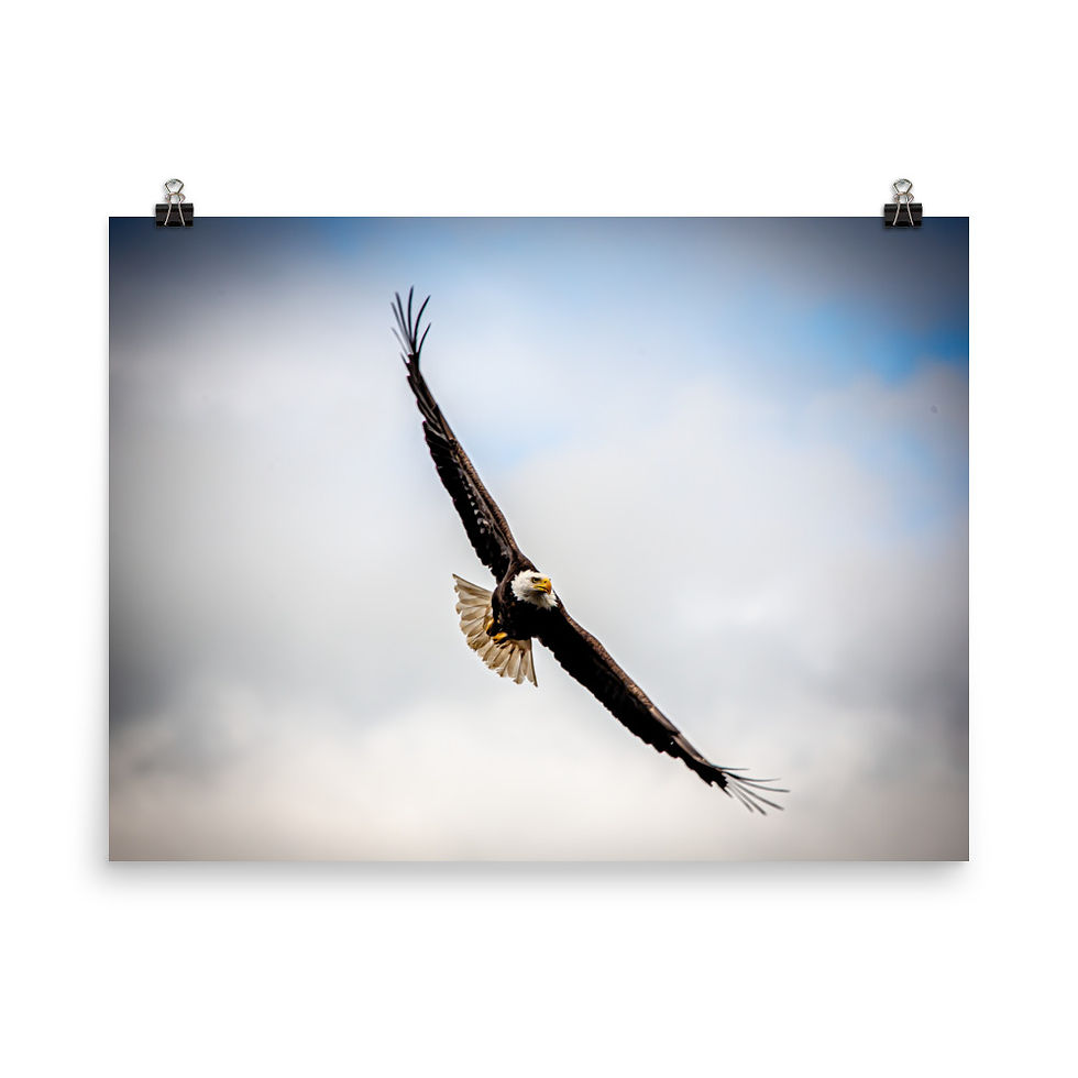 Thumbnail: Premium Matte Print - Wings of Bravery 2024