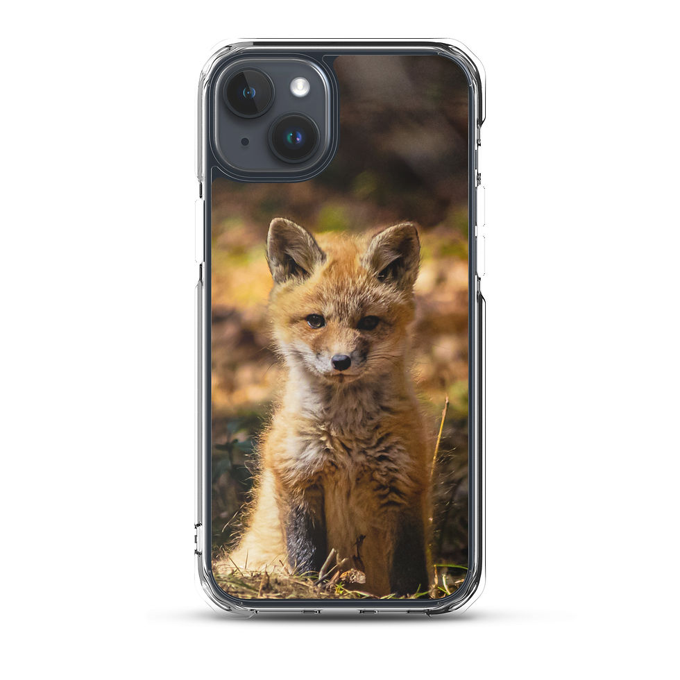 Thumbnail: MagSafe® clear case for iPhone® - Fox Kit