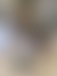 Congratulations in getting your Cruise Ship Job on Holland America Line, Oosterdam as a Dining Service Attendant.