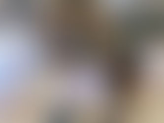 Congratulations in getting your Cruise Ship Job on Holland America Line, Oosterdam as a Dining Service Attendant.