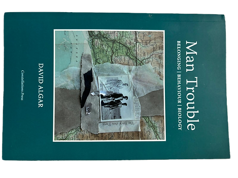 David Algar's book, 'Man Trouble,' displayed on a white background