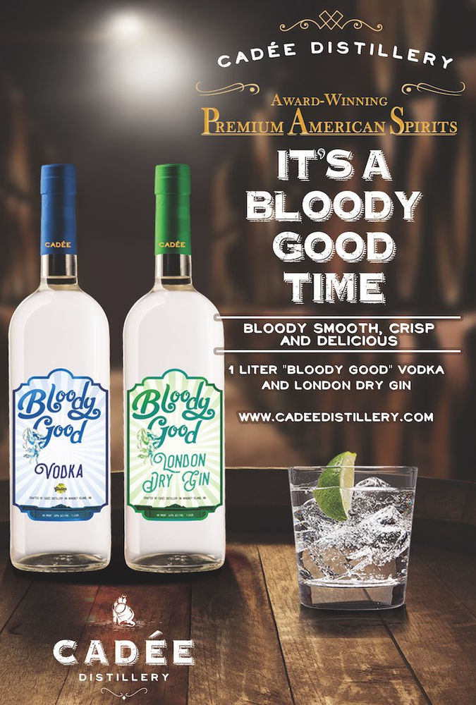 Top 4 Differences You Must Know Between Vodka And Gin