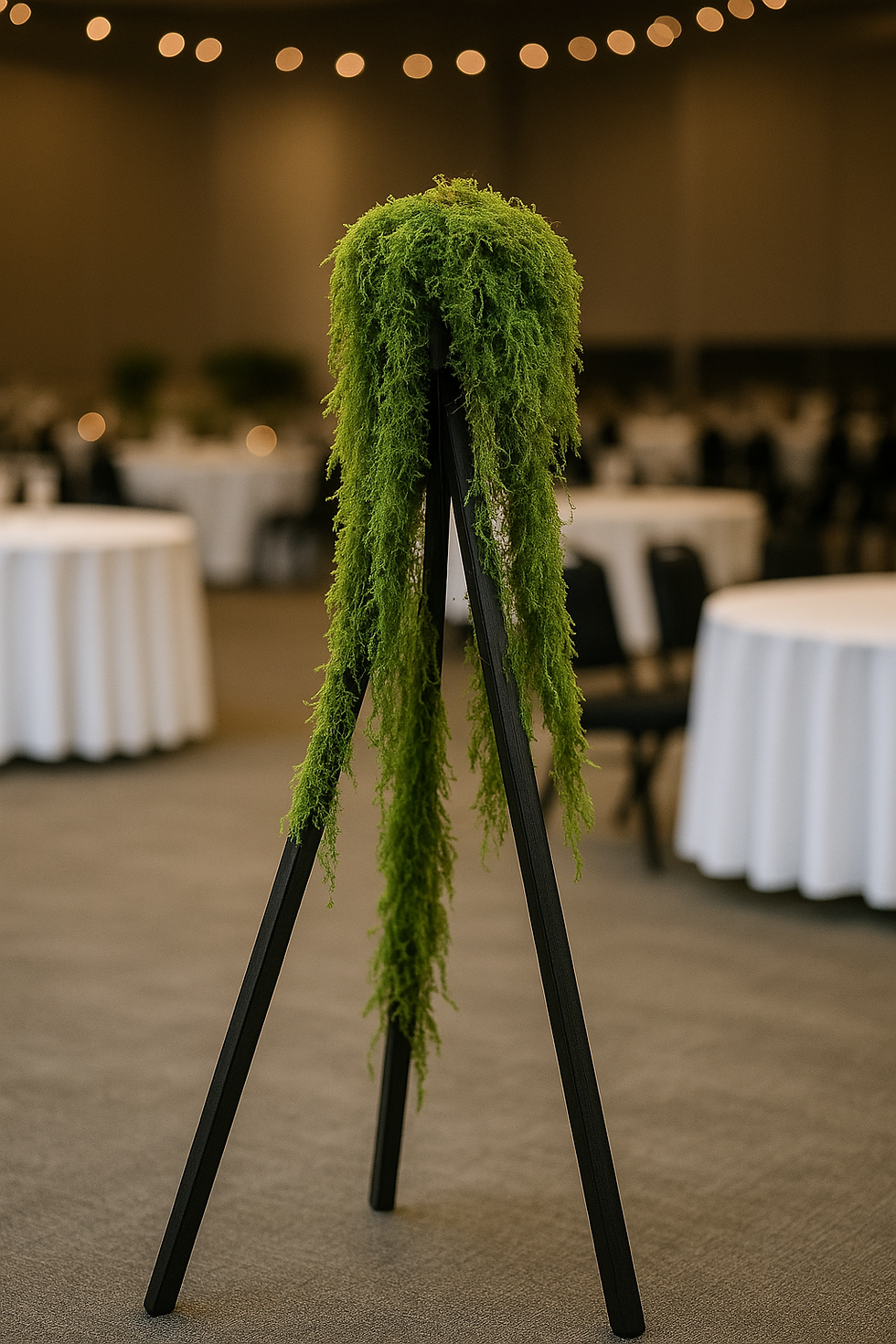 Custom preserved plants