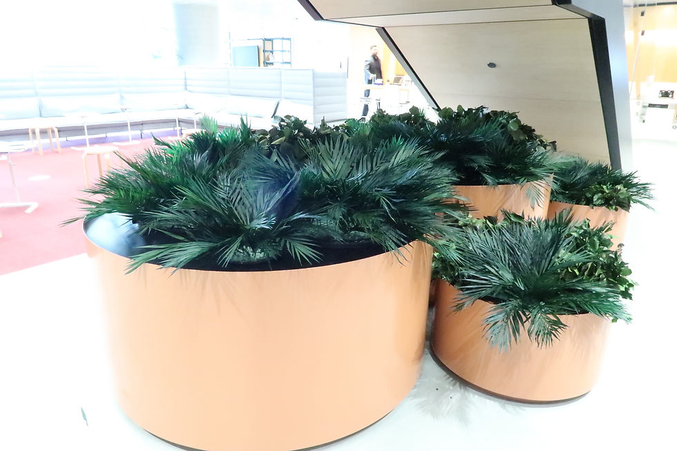 Easy Green Interior preserved planters