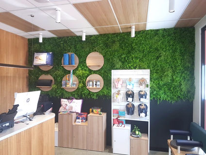 artificial green wall