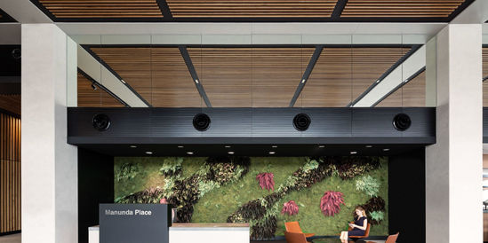 Preserved green wall