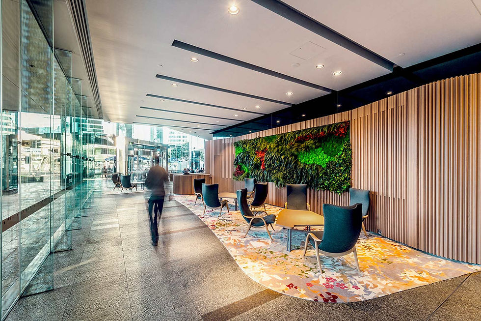 Preserved green wall Brisbane
