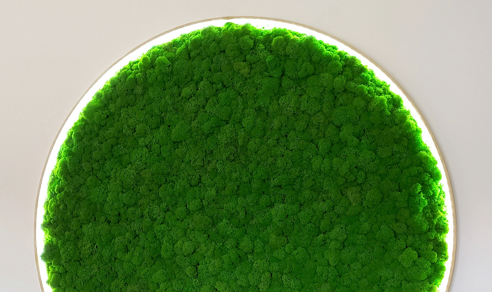 Moss wall light