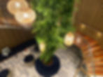 Artificial Plants hangin