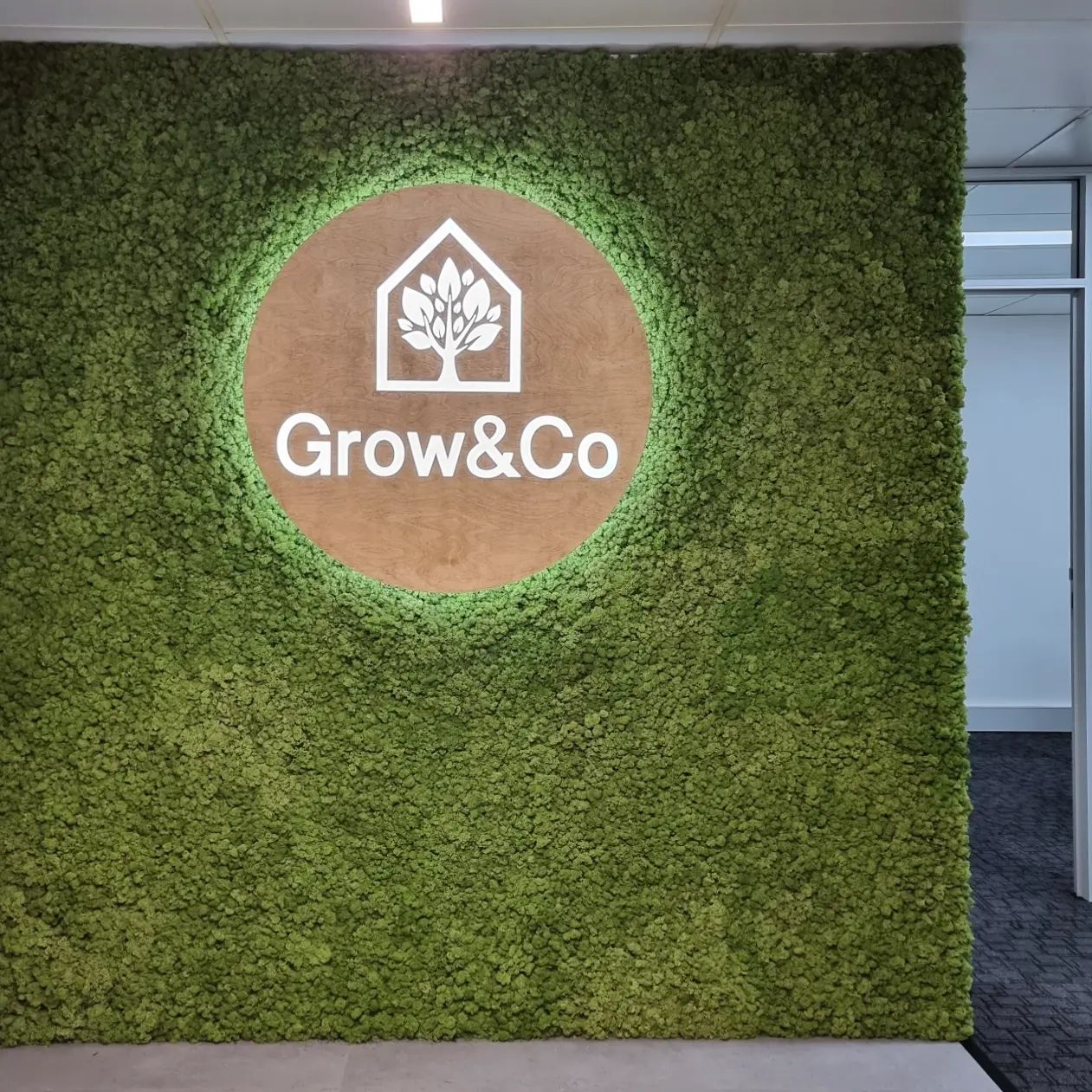 Moss wall, mosswall, preserved green wall