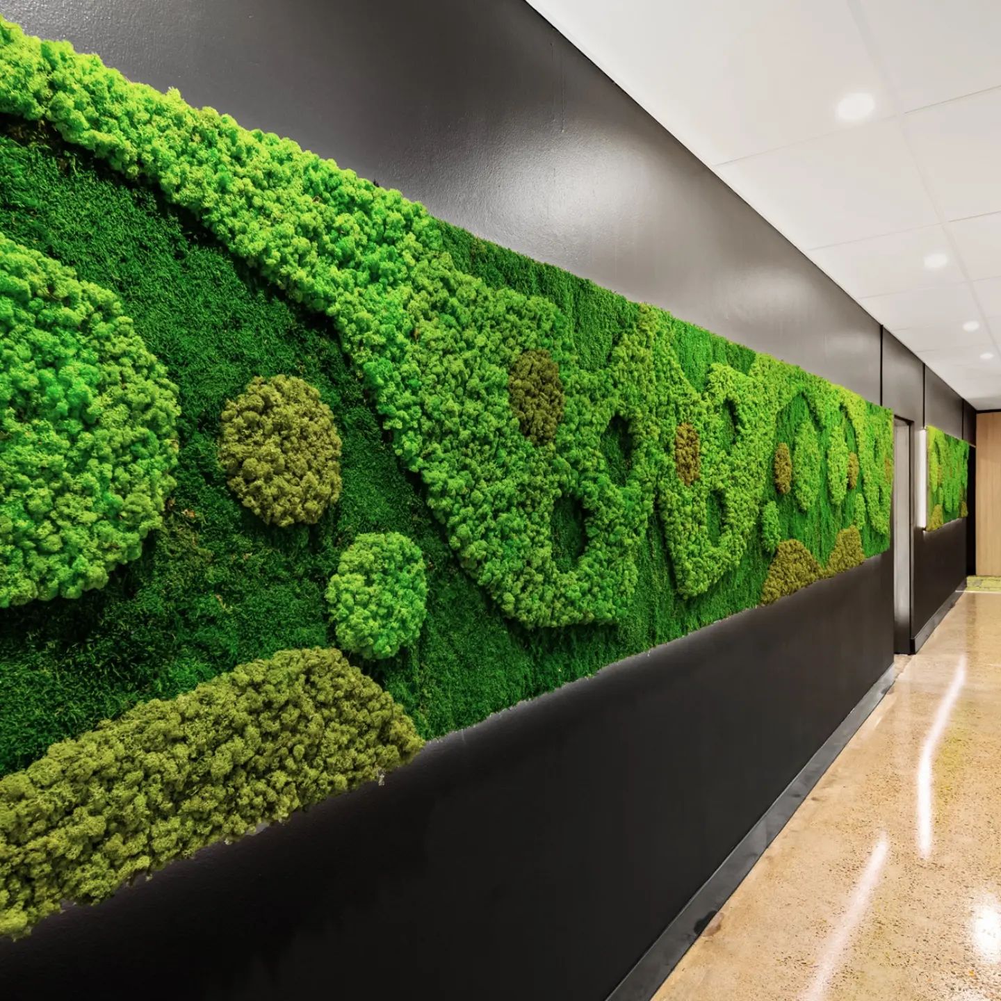 Moss wall, mosswall, preserved green wall, easygreen interior, flat moss