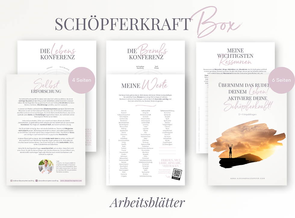 Miniaturbild: Schöpferkraft Box