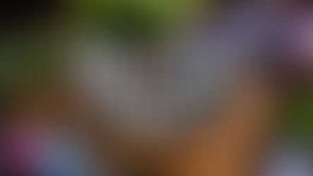 A Guide to Powerful Witch Broom Magic