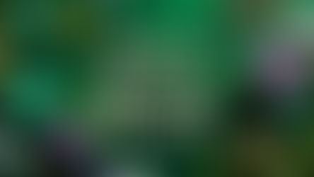 Discover ancient spells for mental health that bring calm to modern chaos. Learn 3 simple magical rituals for anxiety relief, mental clarity, and emotional balance. No experience needed!