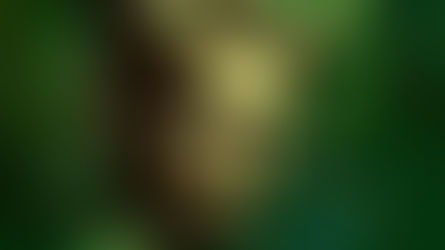 Horned God: A Guide to Connection With the Wild Wicca God 