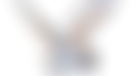 Guide to Symbolism and Meaning of Animal Spirit Guides