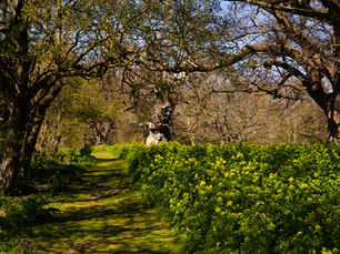 Looking for Something to Do?