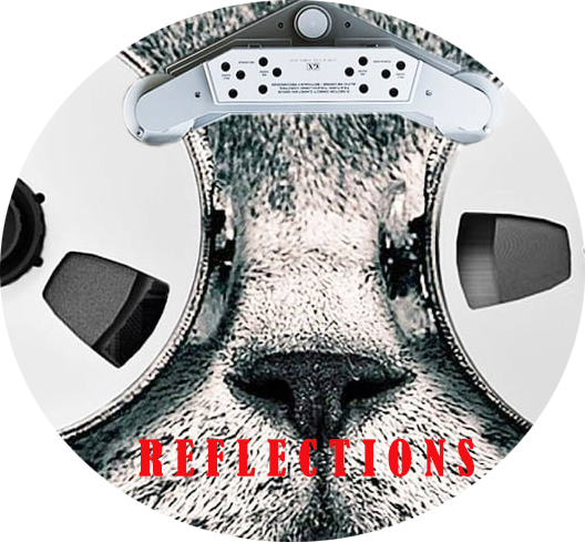 REF Button