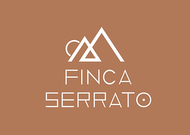 Schermafbeelding 2021-04-27 om 20.43.41.