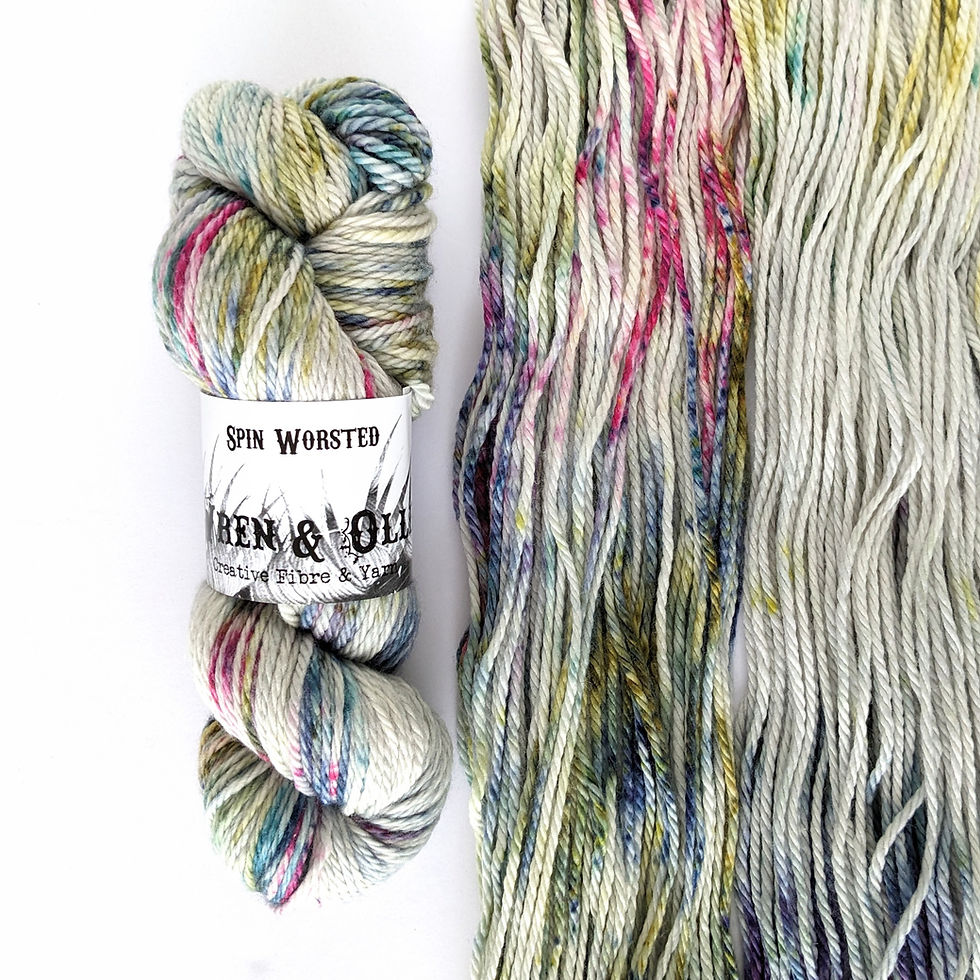 Hand dyed Yarn Spin Worsted Aurora Australis - Wren & Ollie