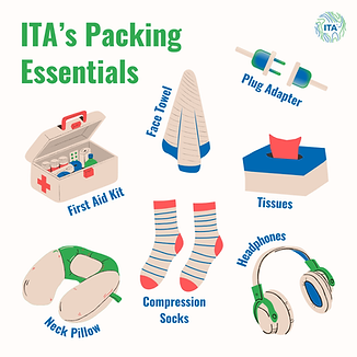 Packing Essentials.png