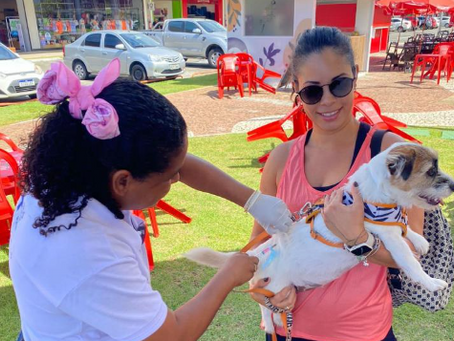 Campanha de Vacinação antirrábica animal continua na Sede e Costa de Camaçari
